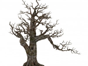 plant - wind are grass dead tree 06 3Dモデル