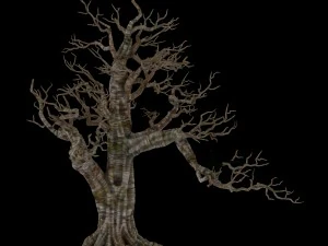 plant - wind are grass dead tree 06 3D Model
