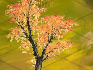 plant - windy grassland trees 03 3D Model