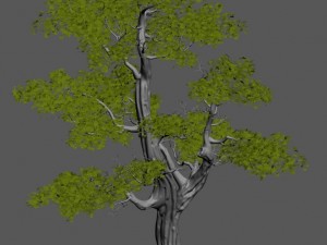 plant - windy grassland trees 03 3Dモデル