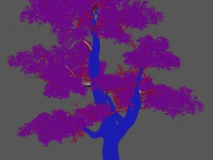 plant - windy grassland trees 03 3D Model