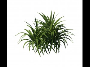 plant - flowers 32 3D मॉडल