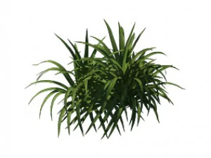 plant - flowers 32 3D Model