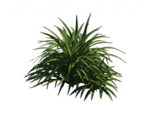 plant - flowers 32 3D Модель