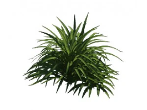 plant - flowers 32 3D Model