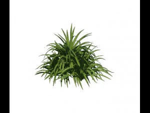 plant - flowers 32 3D Model