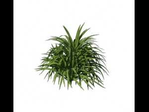 plant - flowers 32 3D Модель