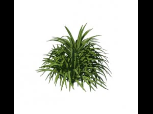plant - flowers 32 3D Model