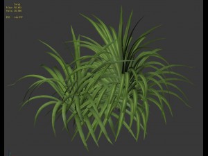plant - flowers 32 3D Модель