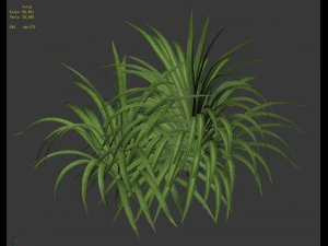 plant - flowers 32 3D Model