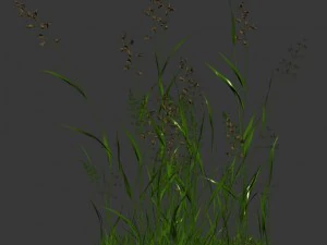 plant - flowers 33 3D Model