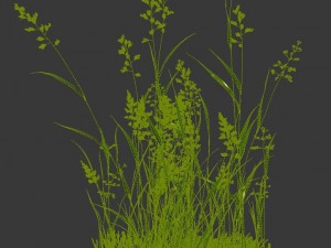 plant - flowers 33 3D Model
