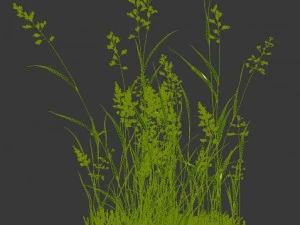 plant - flowers 33 3D Model