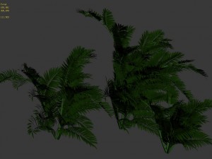 plant - tropical tree 3D Модель