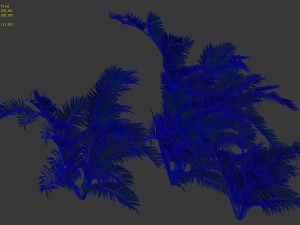 plant - tropical tree 3D Модель