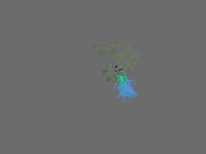 plant - ginseng 3D 모델