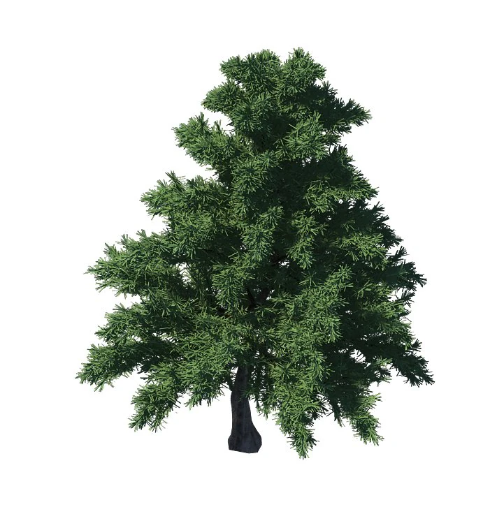 plant - pine 36 3D Model .c4d .max .obj .3ds .fbx .stl .blend