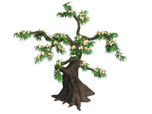 plant - peach 033 3D 模型