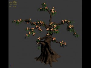 plant - peach 033 3D मॉडल