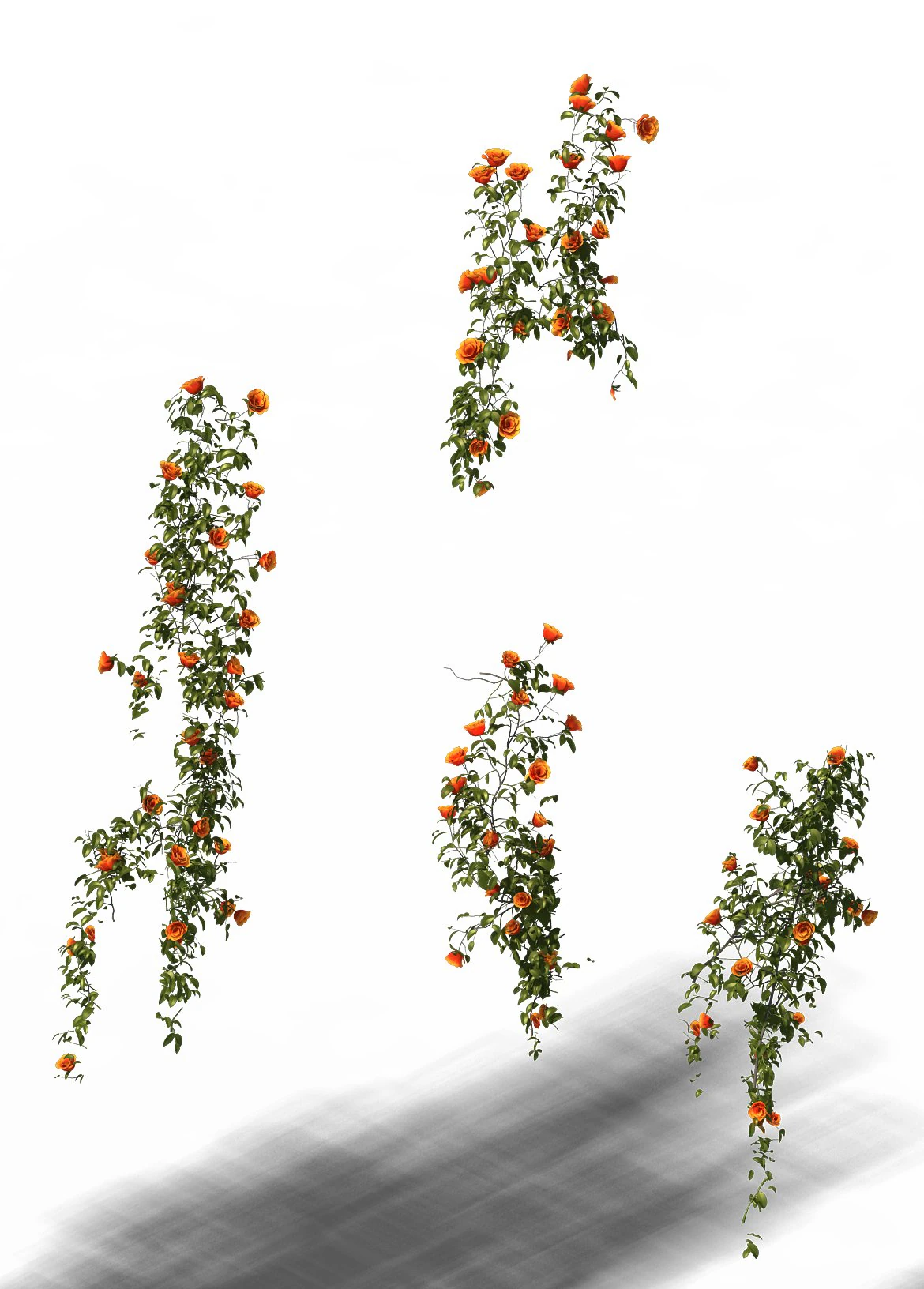 plant - vines 01 3D Model .c4d .max .obj .3ds .fbx .stl .blend