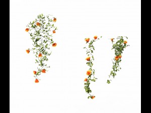plant - vines 01 Modelo 3D