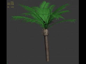 plant - coconut tree 32 3D मॉडल