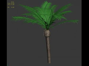 plant - coconut tree 32 3D Model