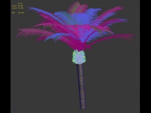 plant - coconut tree 32 3D मॉडल