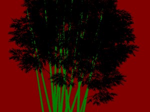 plant - bamboo 032 Modello 3D