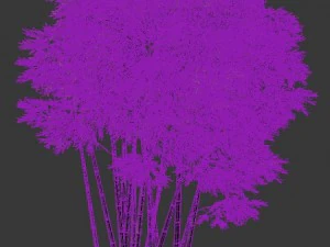 plant - bamboo 032 3D Model
