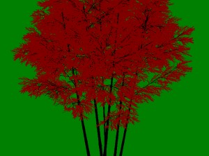 plant - bamboo 034 Modelo 3D