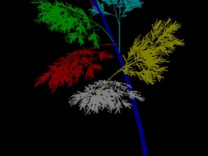 plant - bamboo 035 Modèle 3D