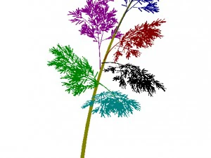 plant - bamboo 036 3D Model