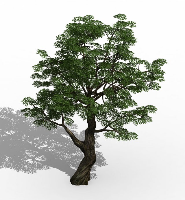 horde plants - big trees 01 Modello 3D .c4d .max .obj .3ds .fbx .stl .blend 