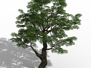 horde plants - big trees 01 3D Модель