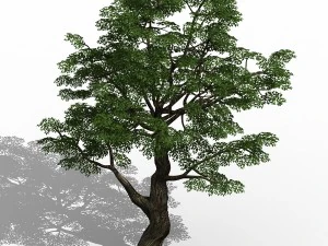 horde plants - big trees 01 3D Model