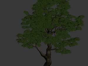 horde plants - big trees 01 Modello 3D