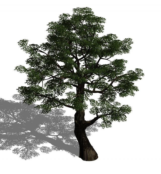 horde plants - big trees 02 3D मॉडल .c4d .max .obj .3ds .fbx .stl .blend