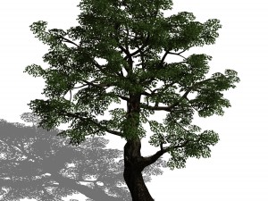horde plants - big trees 02 3Dモデル