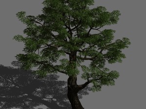 horde plants - big trees 02 3D मॉडल