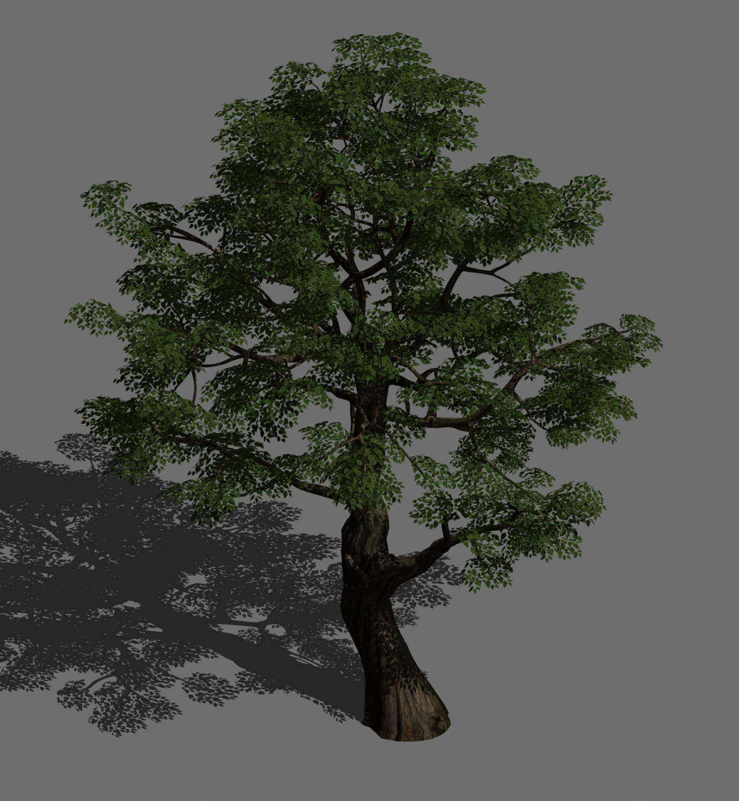 Дерево референс. Two trees sk1. Деревья model. Несколько деревьев. Два дерева.