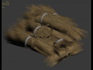straw 05 3D Model