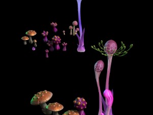 the sea - the fantasy plant 01 3D मॉडल