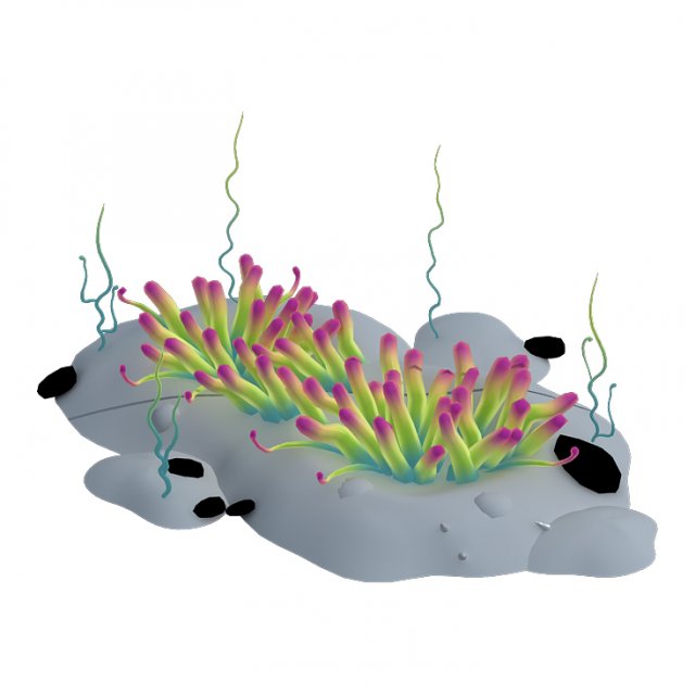 submarine plant - small sea anemone Modèle 3D .c4d .max .obj .3ds .fbx .stl .blend 