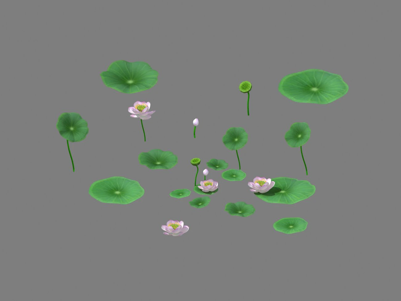 lake - lotus 01 3D Model .c4d .max .obj .3ds .fbx .stl .blend 