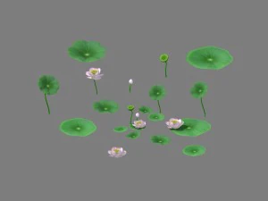 lago - loto 01 Modello 3D