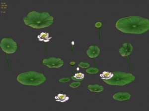 lake - lotus 01 Modello 3D