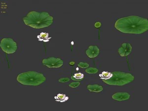 lake - lotus 01 3D Model