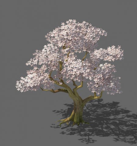 birch 61 3D Модель .c4d .max .obj .3ds .fbx .stl .blend 