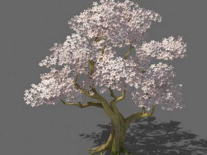 huş ağacı 61 3D Model